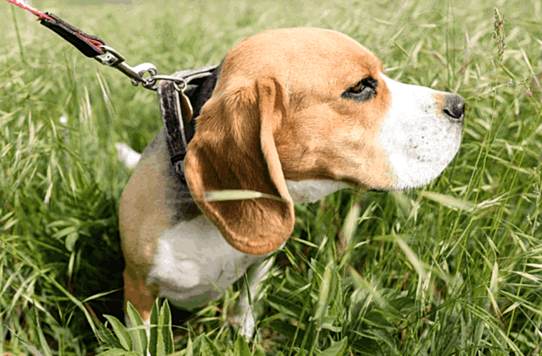 New Project (3) New Project (3)