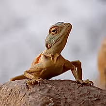 bc5bd041c5bae145142edd3e52285e9b bc5bd041c5bae145142edd3e52285e9b